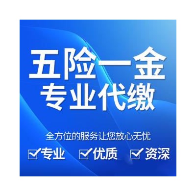 专业代理深圳地区员工和个人社保业务，深圳社保咨询