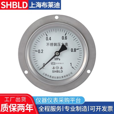 上海布莱迪Y-60Y-602Y-602T真空压力表普通压力表